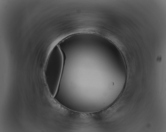 X0000093460960200710191121