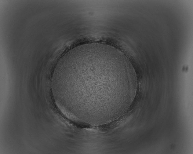 X0000093460961200710191120