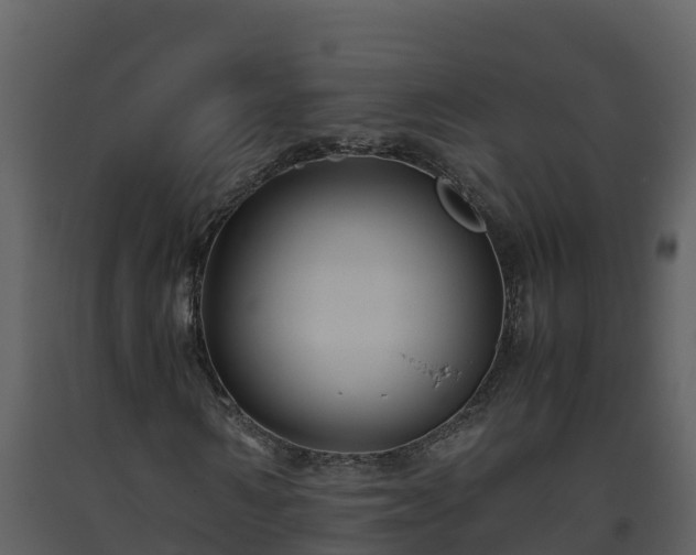 X0000093460962200710191120