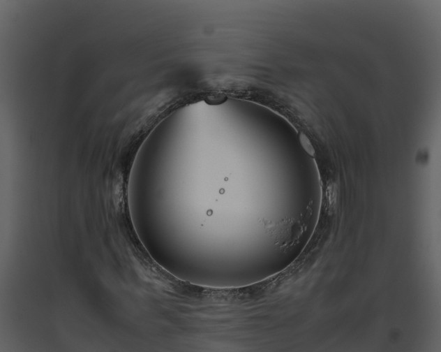 X0000093460963200710191120