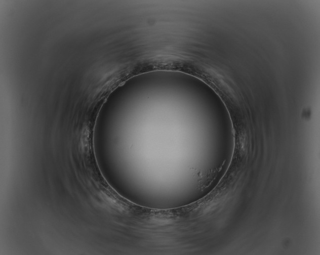 X0000093460964200710191120