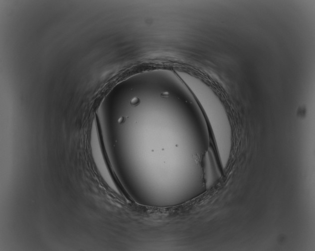 X0000093460965200710191120