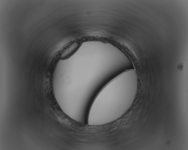 X0000093460968200710191120