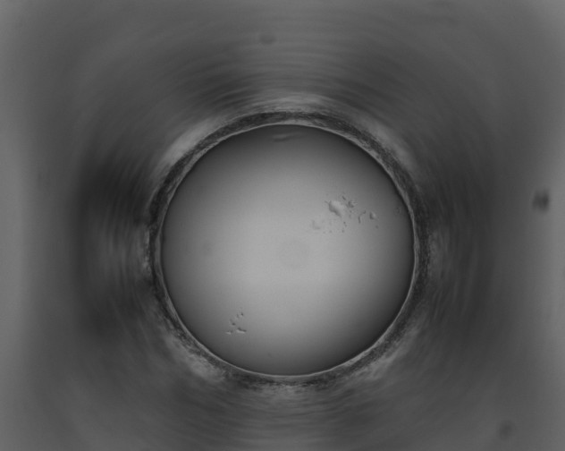 X0000093460970200710191120