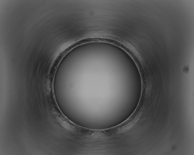 X0000093460974200710191120