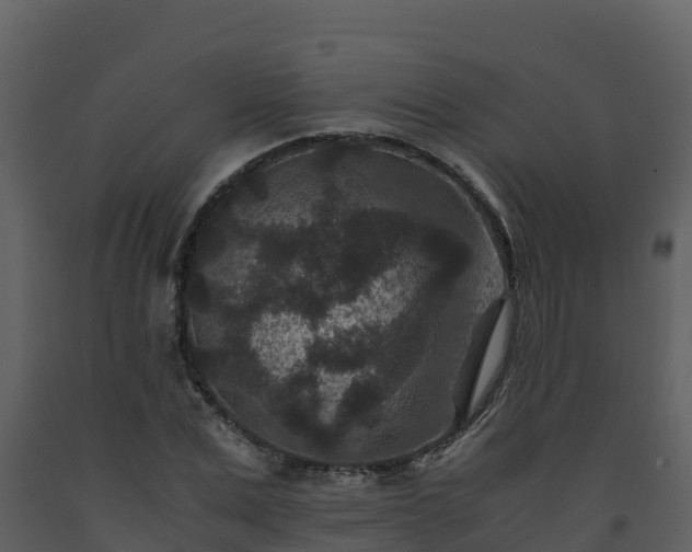 X0000093460975200710191120