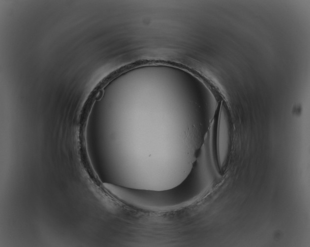 X0000093460976200710191120