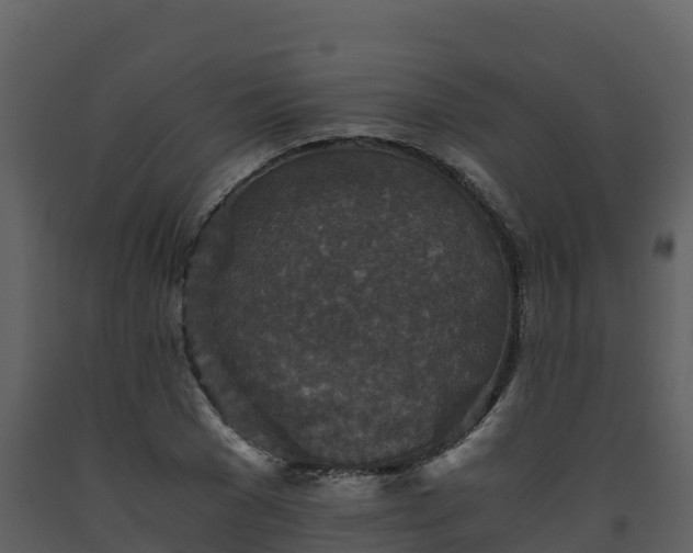 X0000093460977200710191120