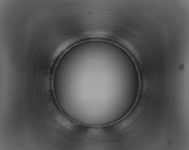 X0000093460978200710191120