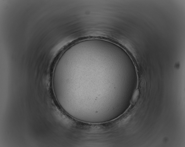 X0000093460979200710191120