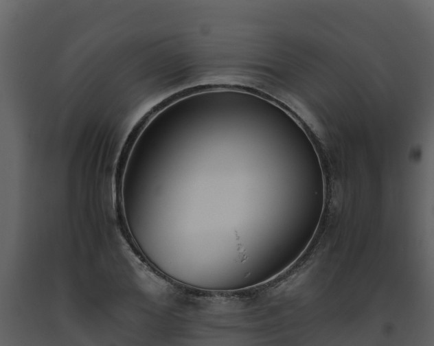 X0000093460980200710191120