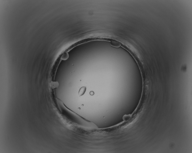 X0000093460981200710191120