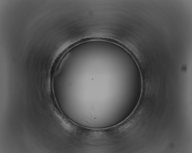 X0000093460982200710191120