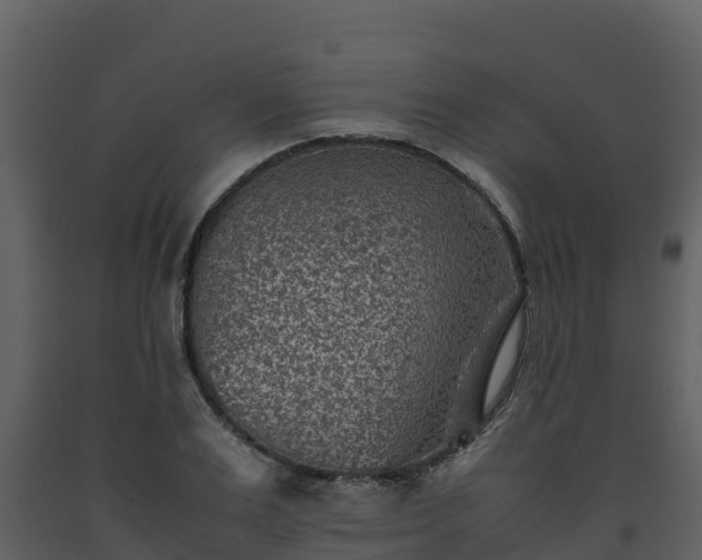 X0000093460983200710191120