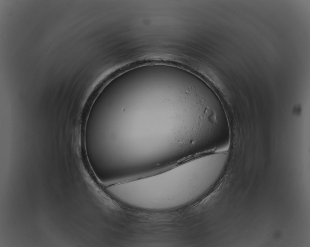 X0000093460984200710191120