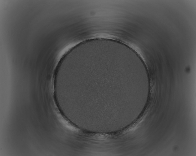 X0000093460987200710191120