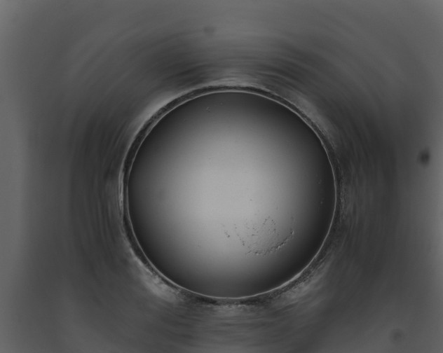 X0000093460988200710191120