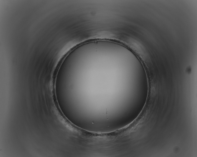 X0000093460990200710191120