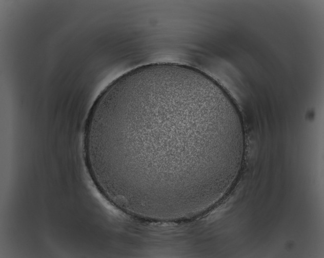 X0000093460991200710191120