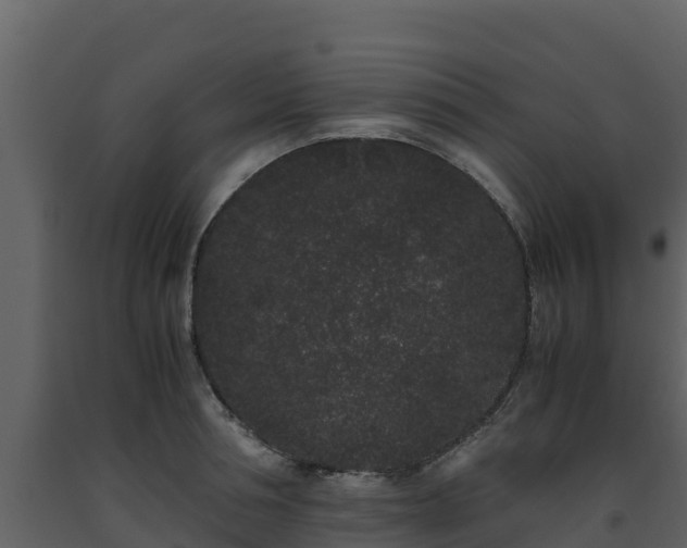 X0000093460994200710191120