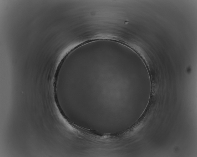 X0000093460995200710191120