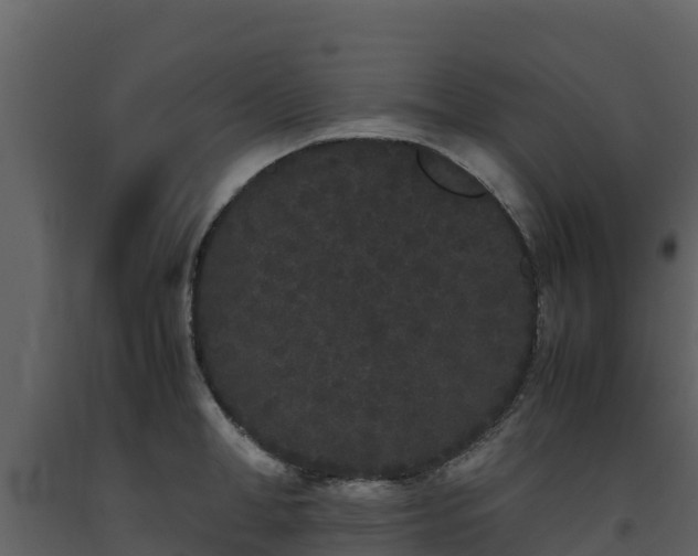 X0000093460998200710191120