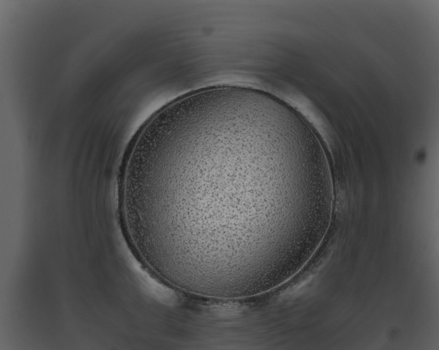 X0000093460999200710191120