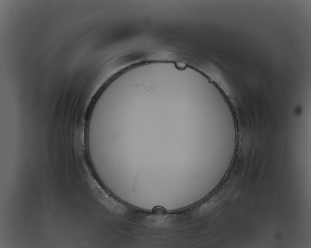 X0000093461000200710191120