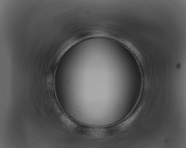 X0000093461001200710191120