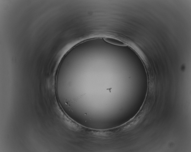 X0000093461004200710191120