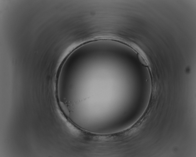 X0000093461005200710191120