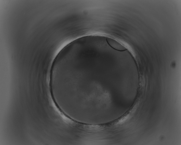 X0000093461007200710191120