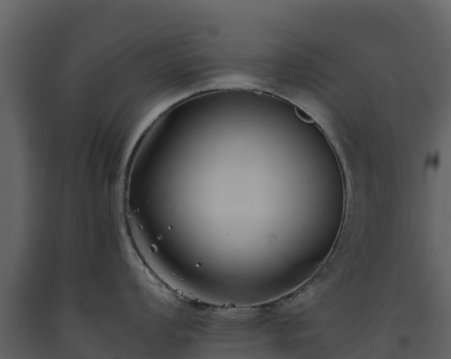 X0000093461008200710191120