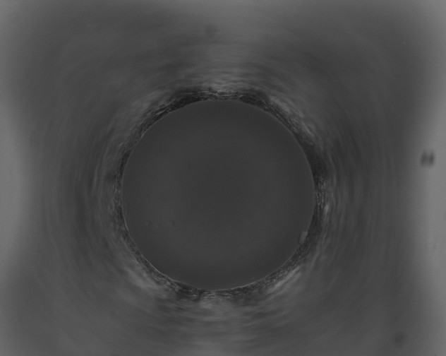 X0000093461009200710191119