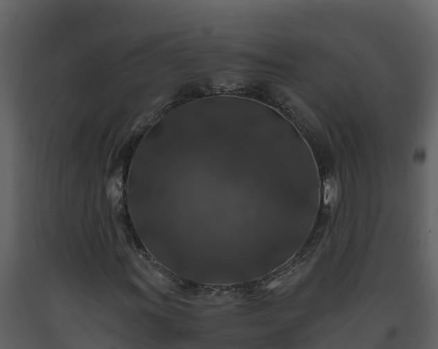 X0000093461011200710191119