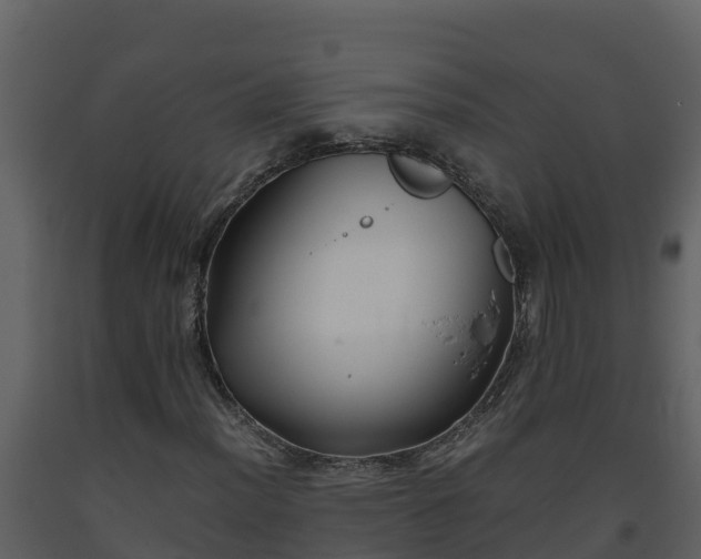 X0000093461012200710191119