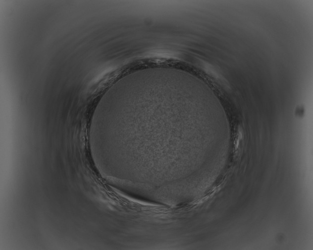 X0000093461014200710191119