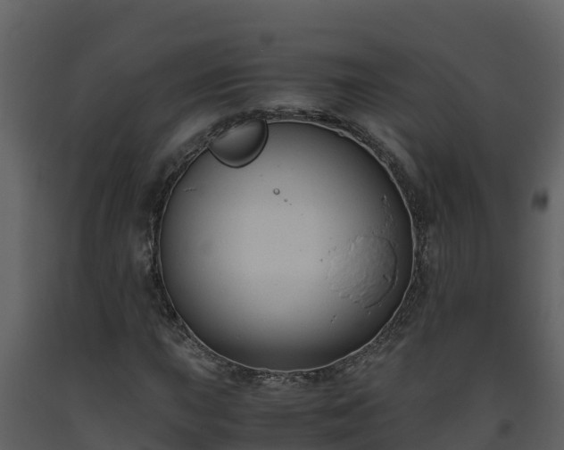 X0000093461015200710191119