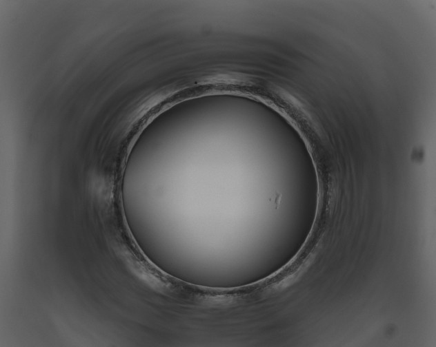 X0000093461017200710191119