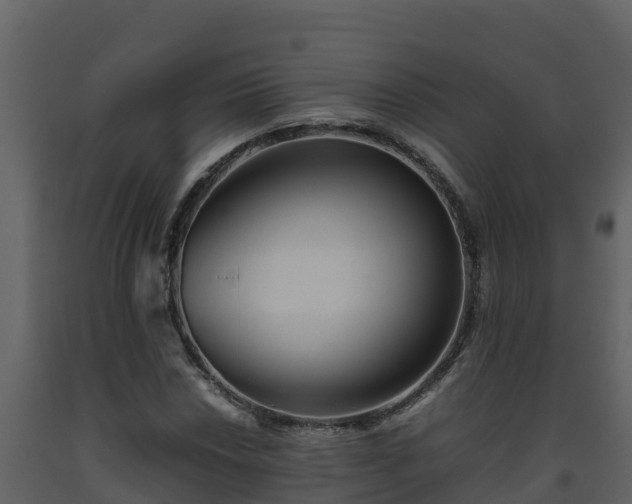 X0000093461018200710191119