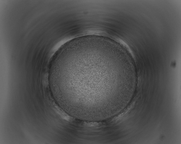 X0000093461019200710191119