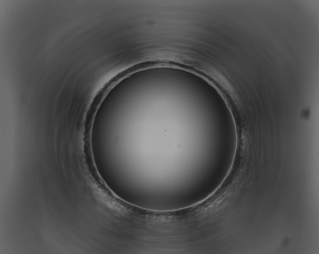 X0000093461020200710191119