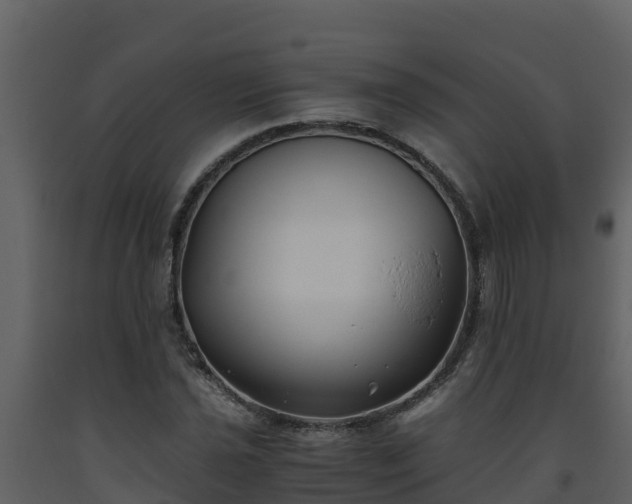 X0000093461021200710191119