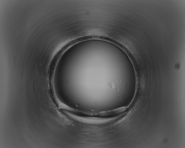 X0000093461022200710191119