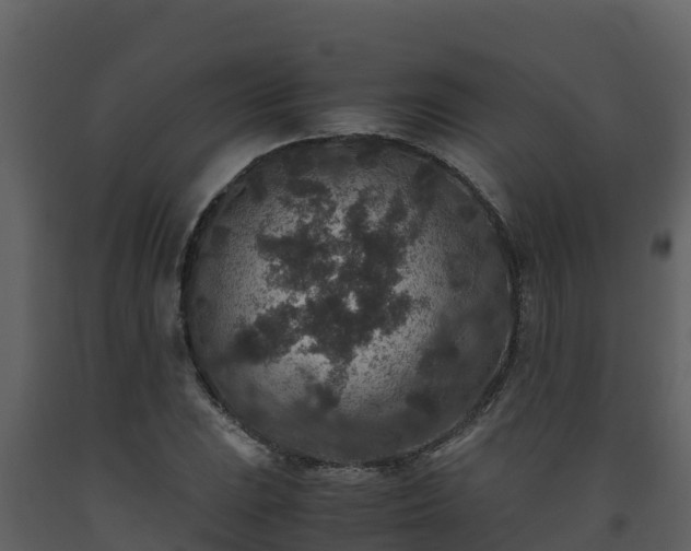 X0000093461023200710191119