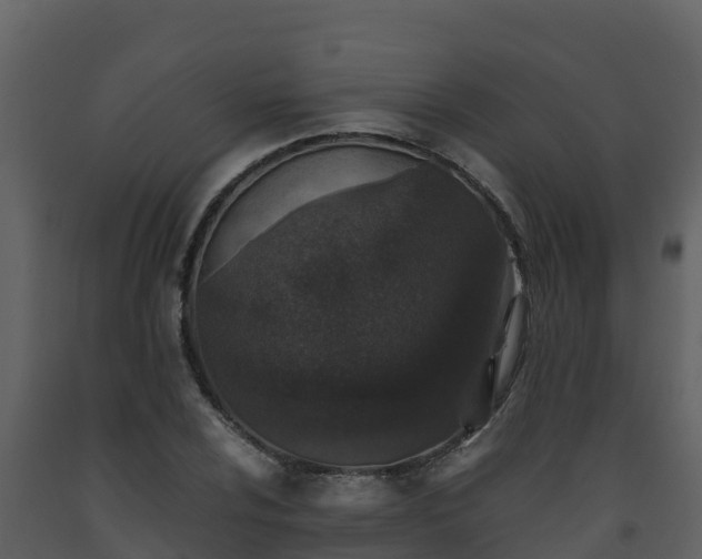 X0000093461024200710191119