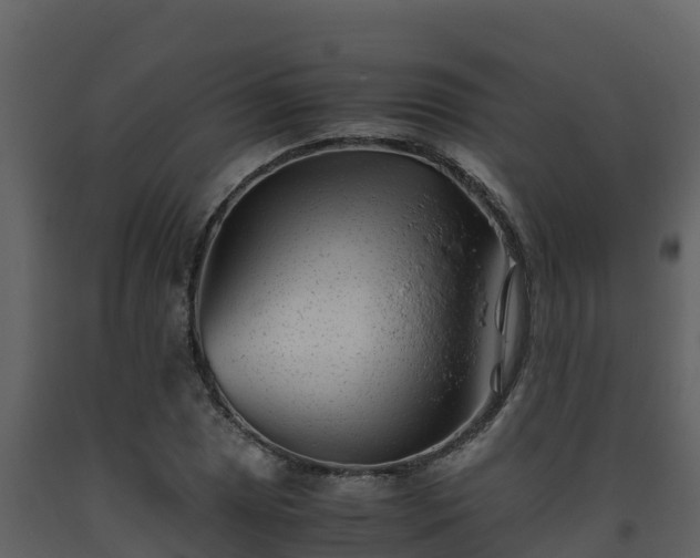 X0000093461025200710191119