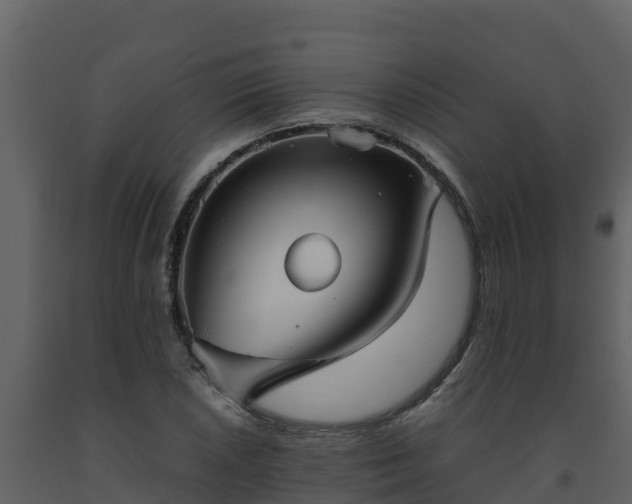 X0000093461026200710191119