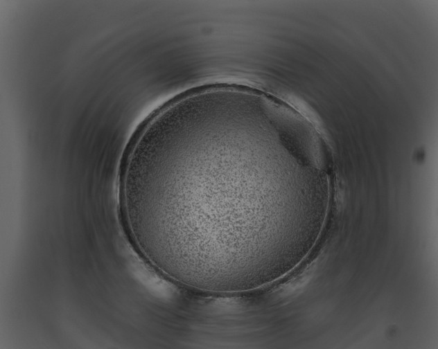 X0000093461028200710191119