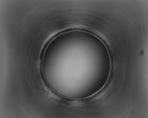 X0000093461029200710191119